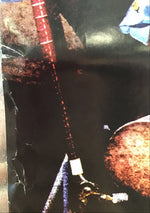 Frenzal Rhomb - Sans Souci Promo Poster