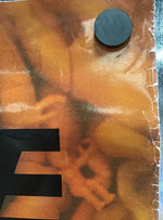 Curve - Promo Poster for Doppelganger