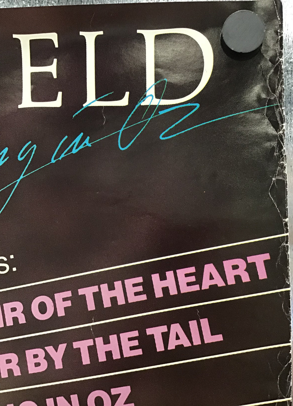 Rick Springfield - Living in Oz Promo Poster