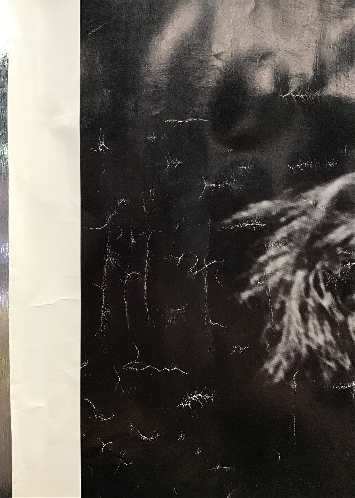 Peter Murphy - Promo Poster