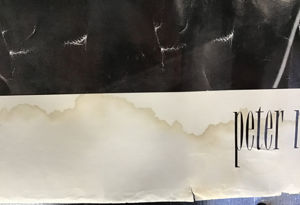 Peter Murphy - Promo Poster
