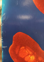 Todd Rundgren - Nearly Human Promo Poster