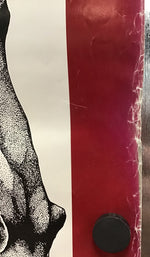 Tex and the Horseheads - Promo Poster