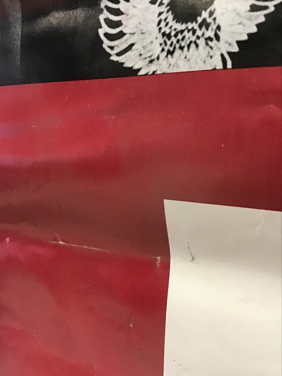 Tex and the Horseheads - Promo Poster