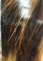 Skye Sweetnam - Noise from the Basement Promo Poster