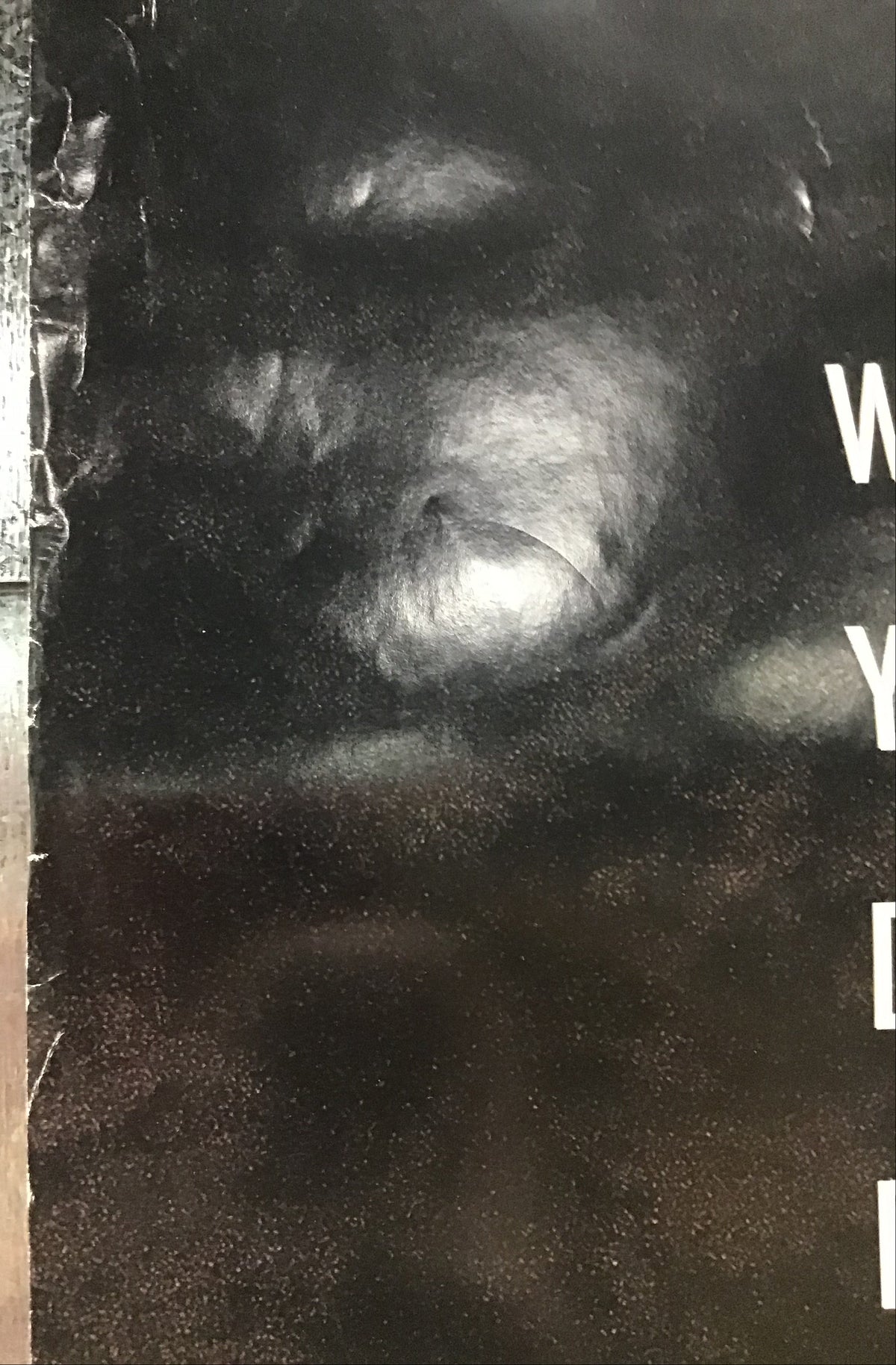 Dante's Peak - Promo Poster