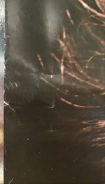 Don Henley - Building the Perfect Beast Promo Poster