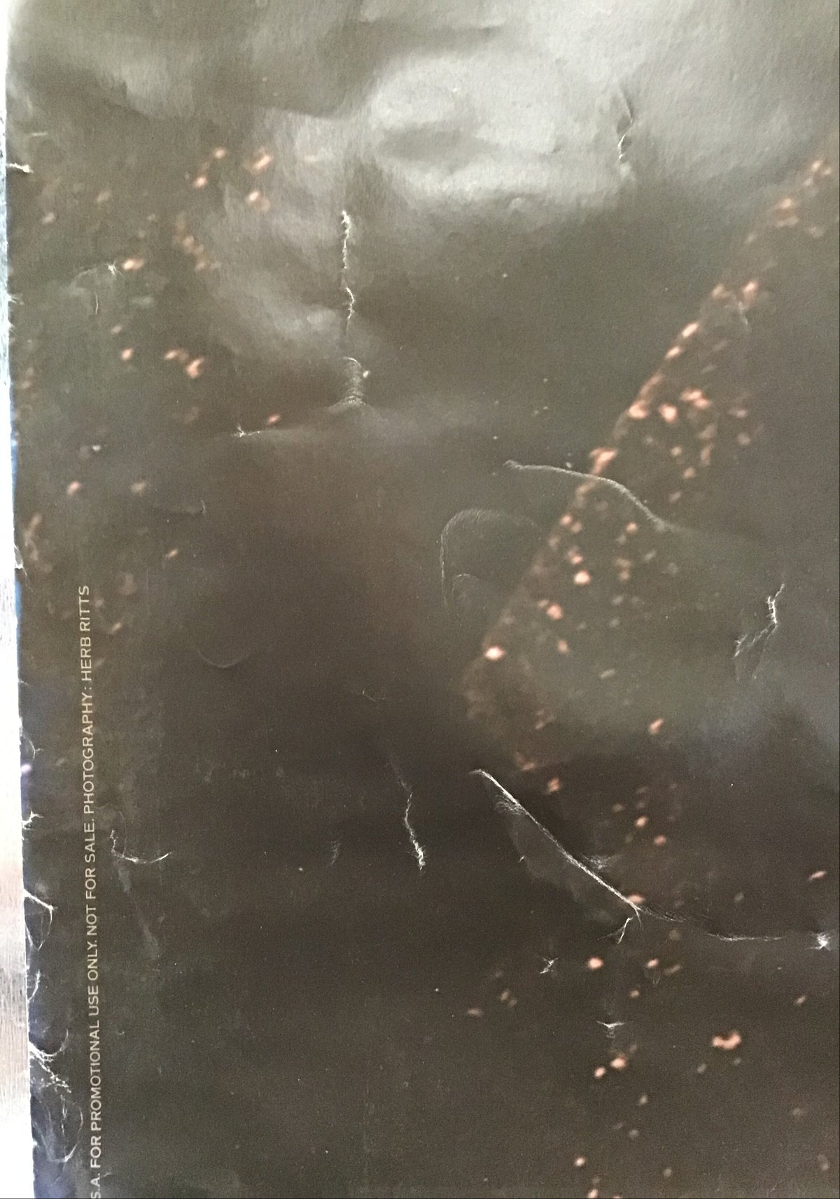 Don Henley - Building the Perfect Beast Promo Poster