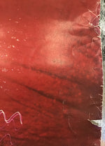 Divinyls - What a Life! Promo Poster
