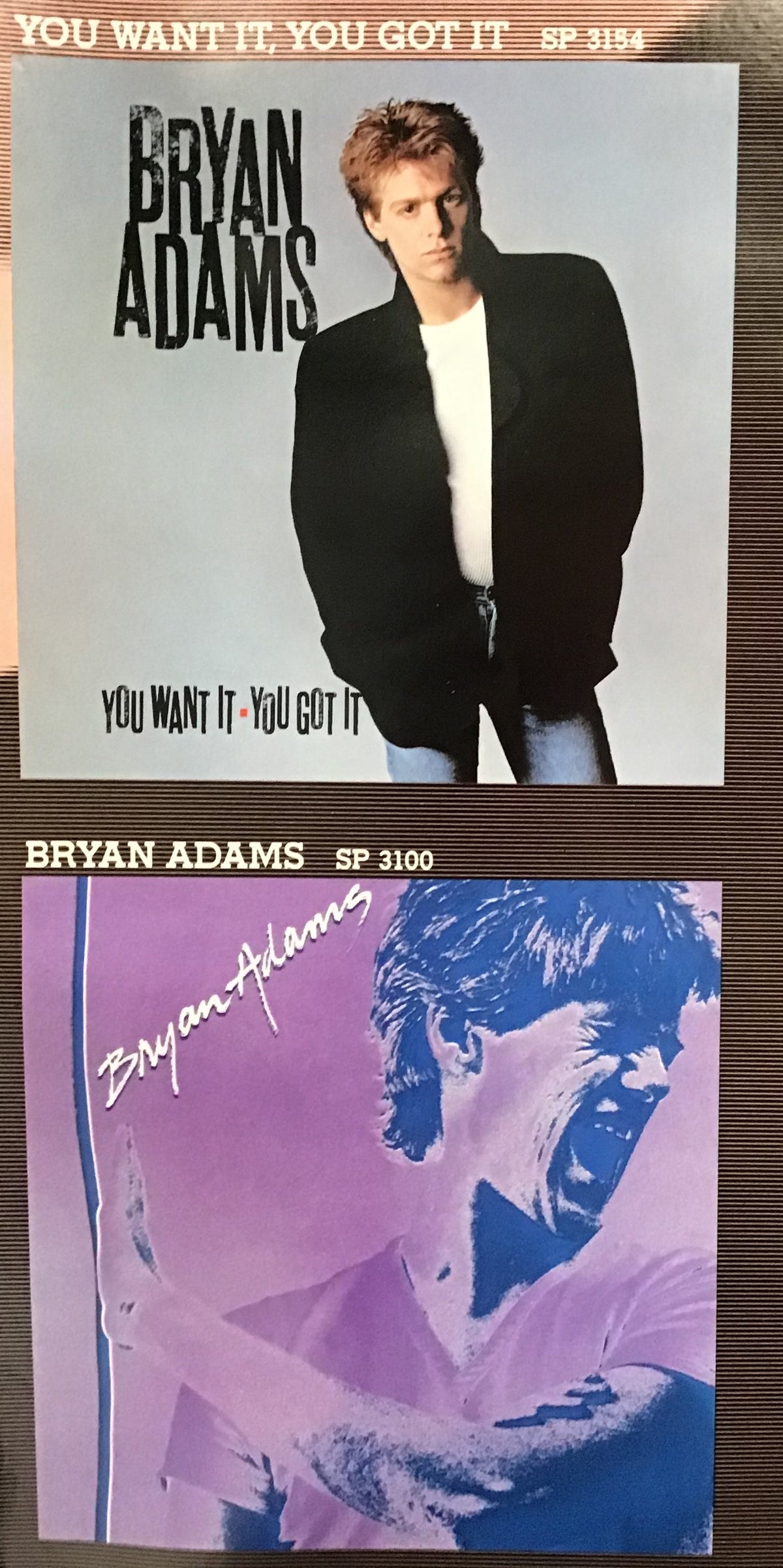 Bryan Adams - Promo Poster