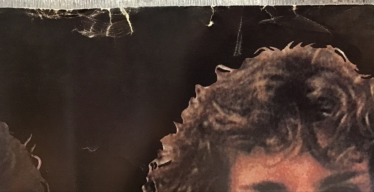 Saga - Promo Poster