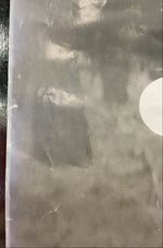 Sparklehorse - Good Morning Spider Promo Poster