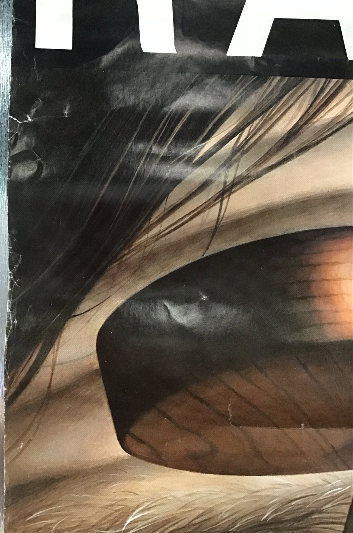 Rainbow - Straight Between the Eyes Promo Poster