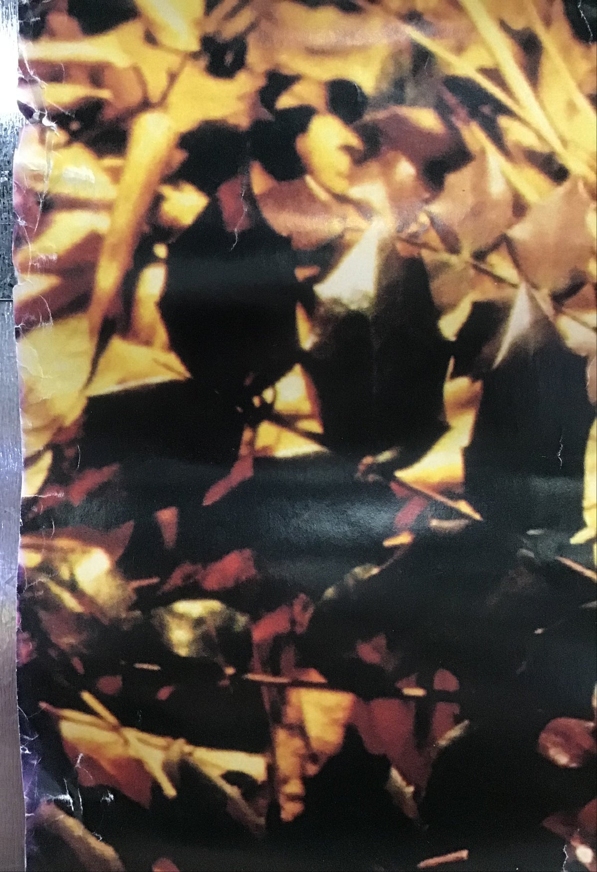 Miranda Sex Garden - Iris Promo Poster