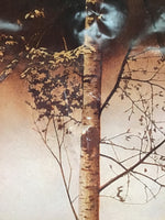 Far North - Promo Poster