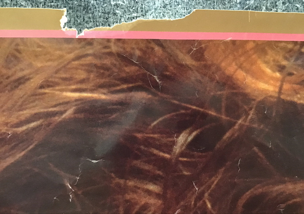 Playboy - Video Centerfold Promo Poster