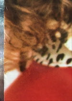 Robert Plant - Promo Poster