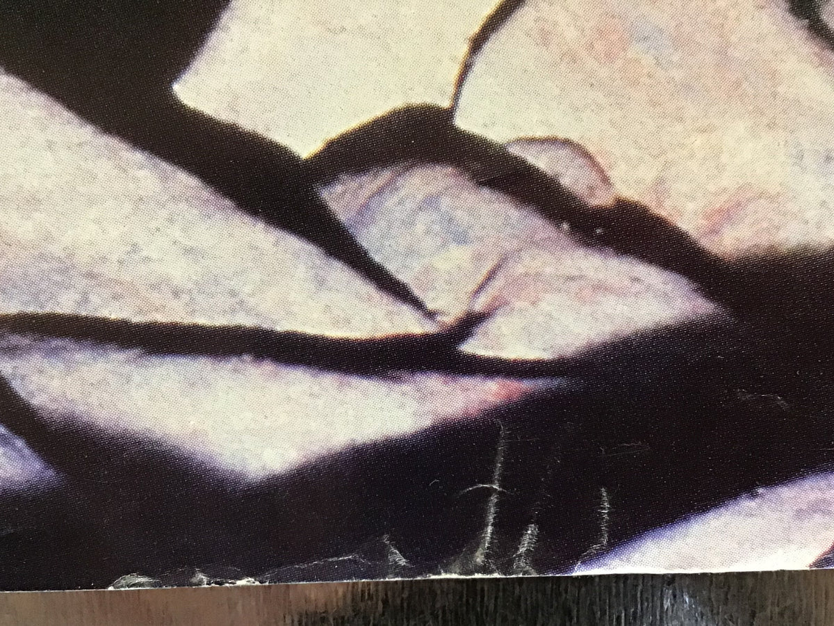 The Housemartins - Poster