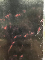 Ben Harper & The Innocent Criminals - Live From Mars Promo Poster