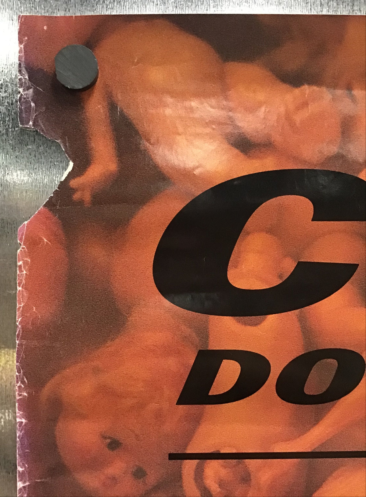 Curve - Promo Poster for Doppelganger