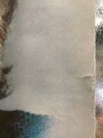 Kenny Rogers - Duets PromoPoster