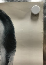 George Carlin - A Place For My Stuff Promo Poster