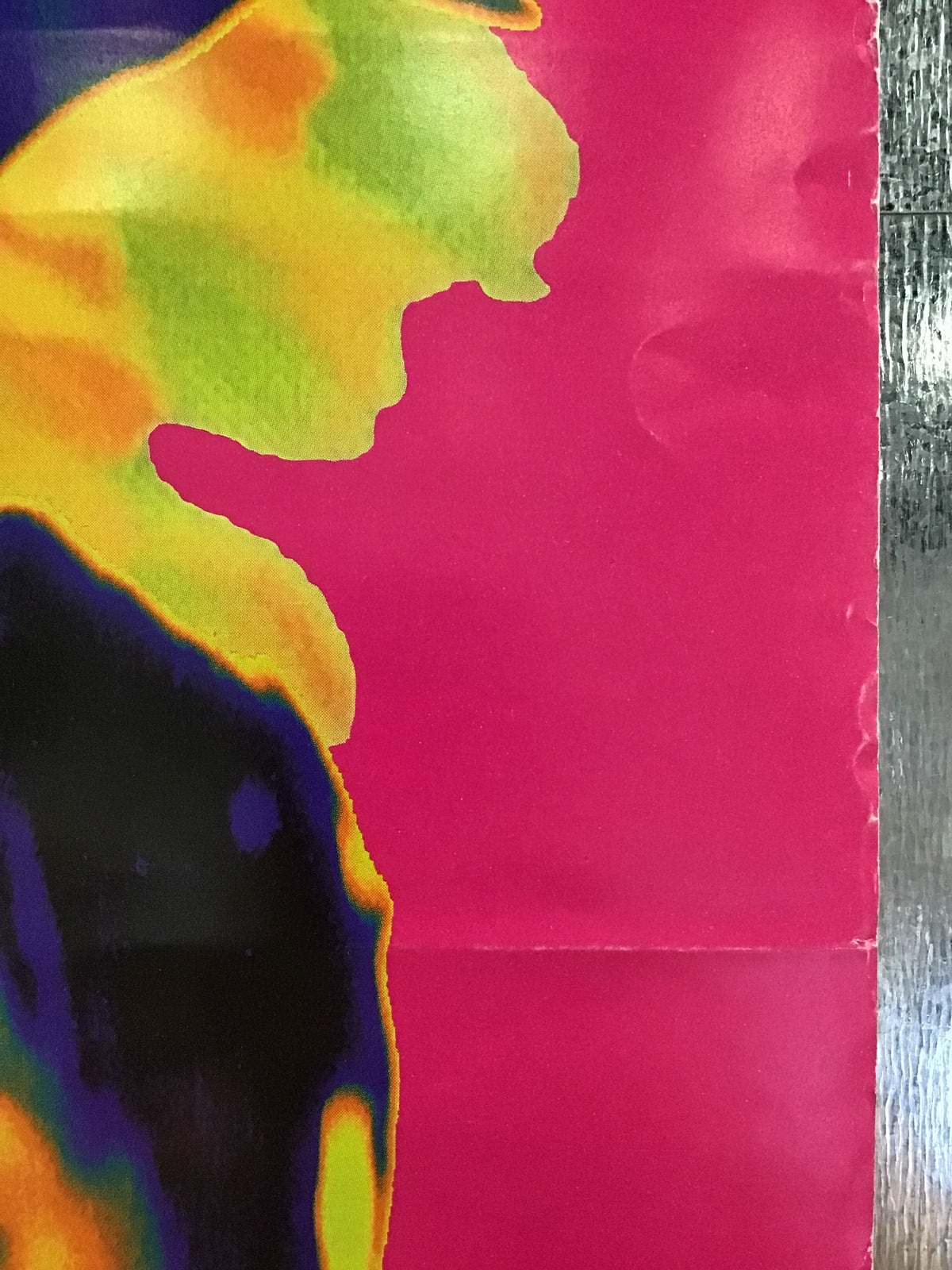 The Veldt - Marigolds Promo Poster