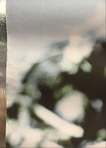 Mark Eitzel - West Promo Poster