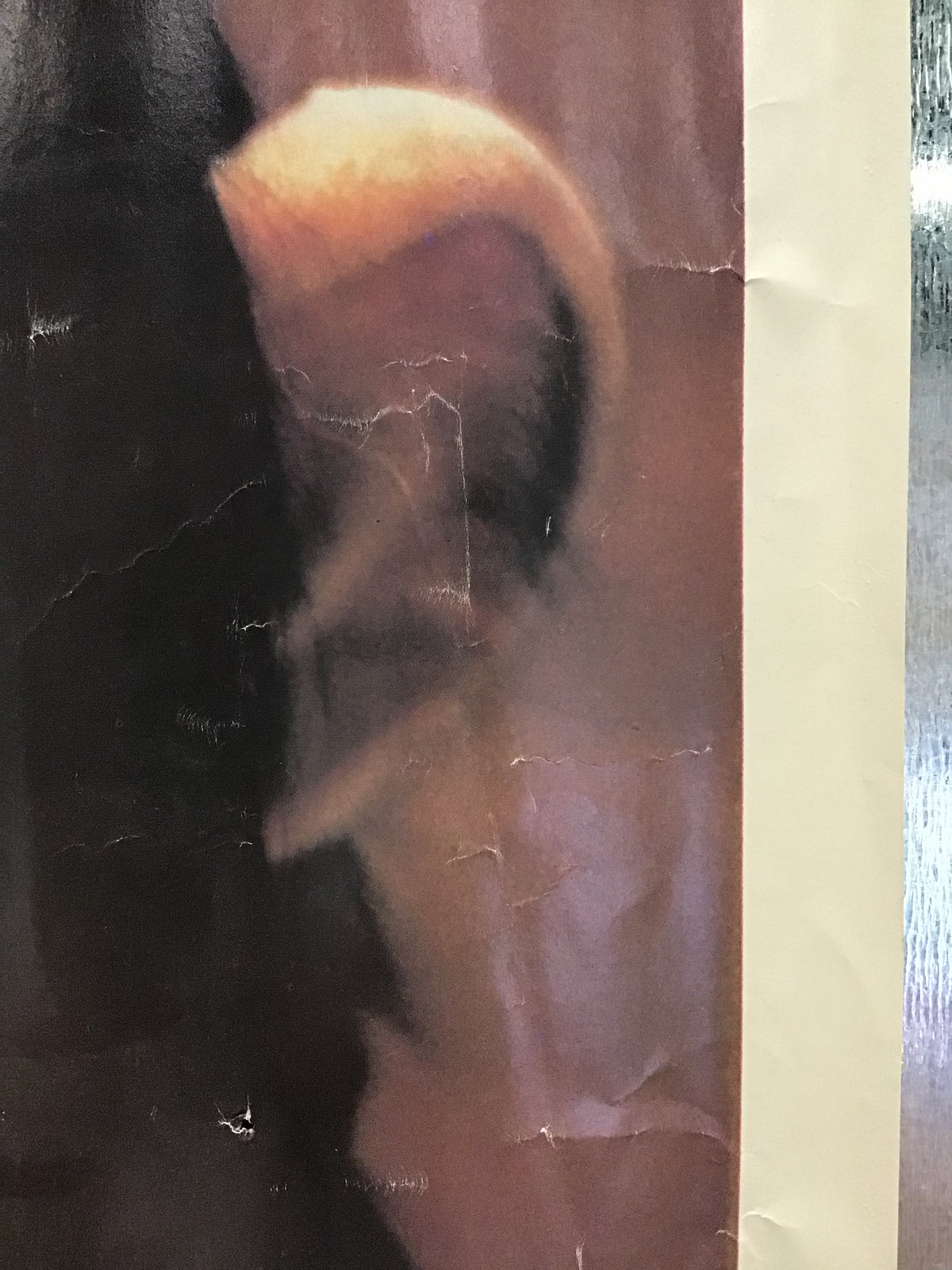 "He Is My Brother" - Vintage Chimp Poster