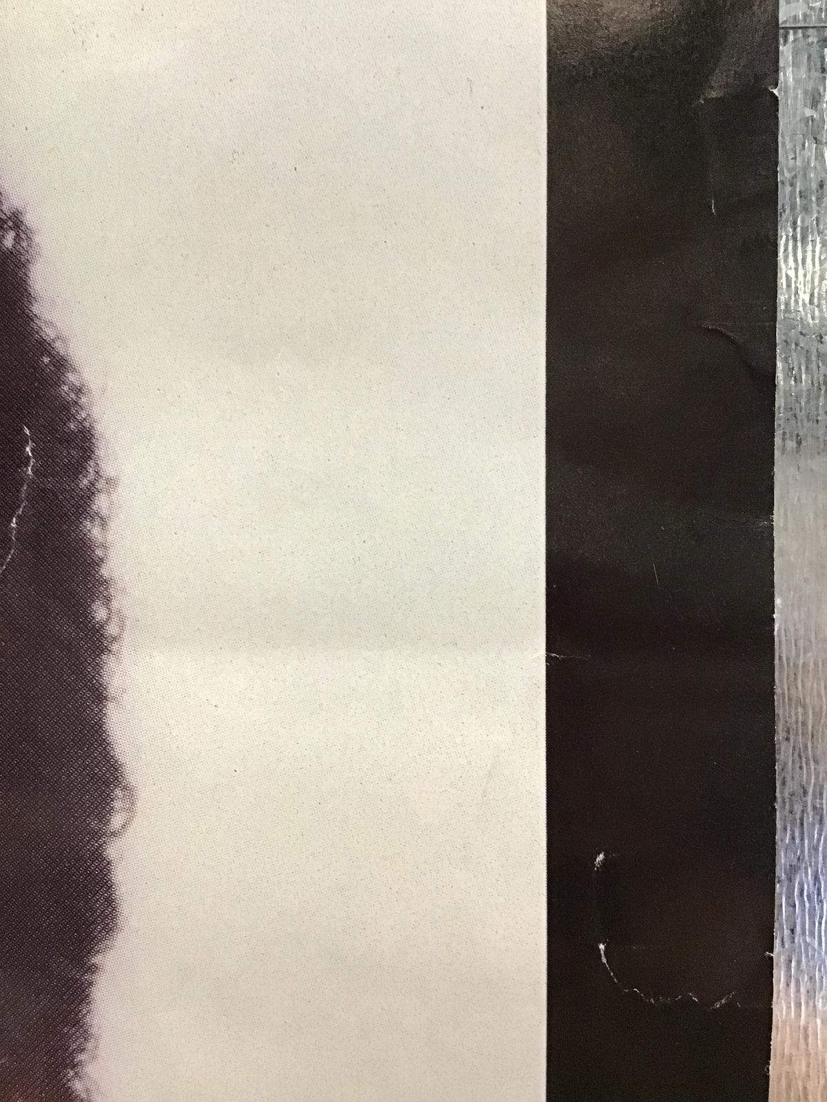 Roberta Flack & Peabo Bryson - Born To Love Promo Poster