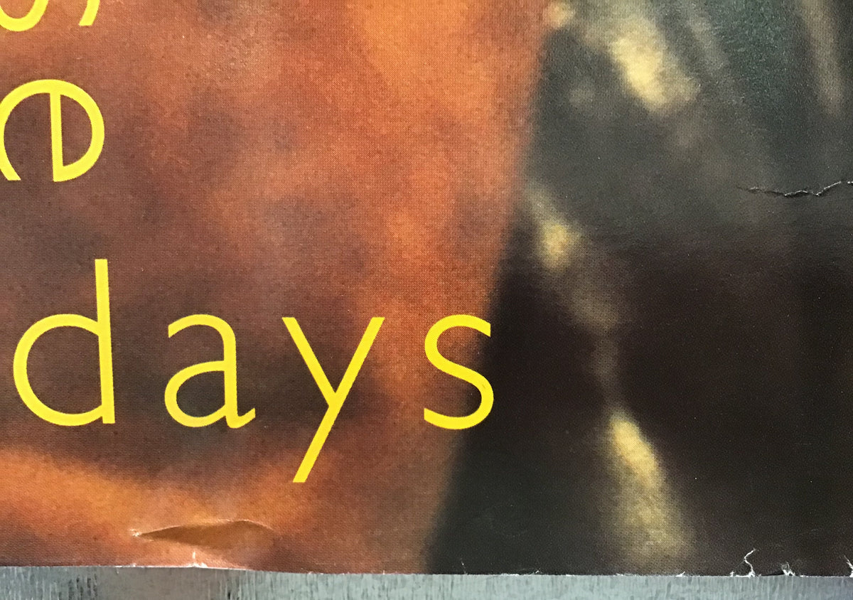 The Grapes of Wrath - These Days Promo Poster