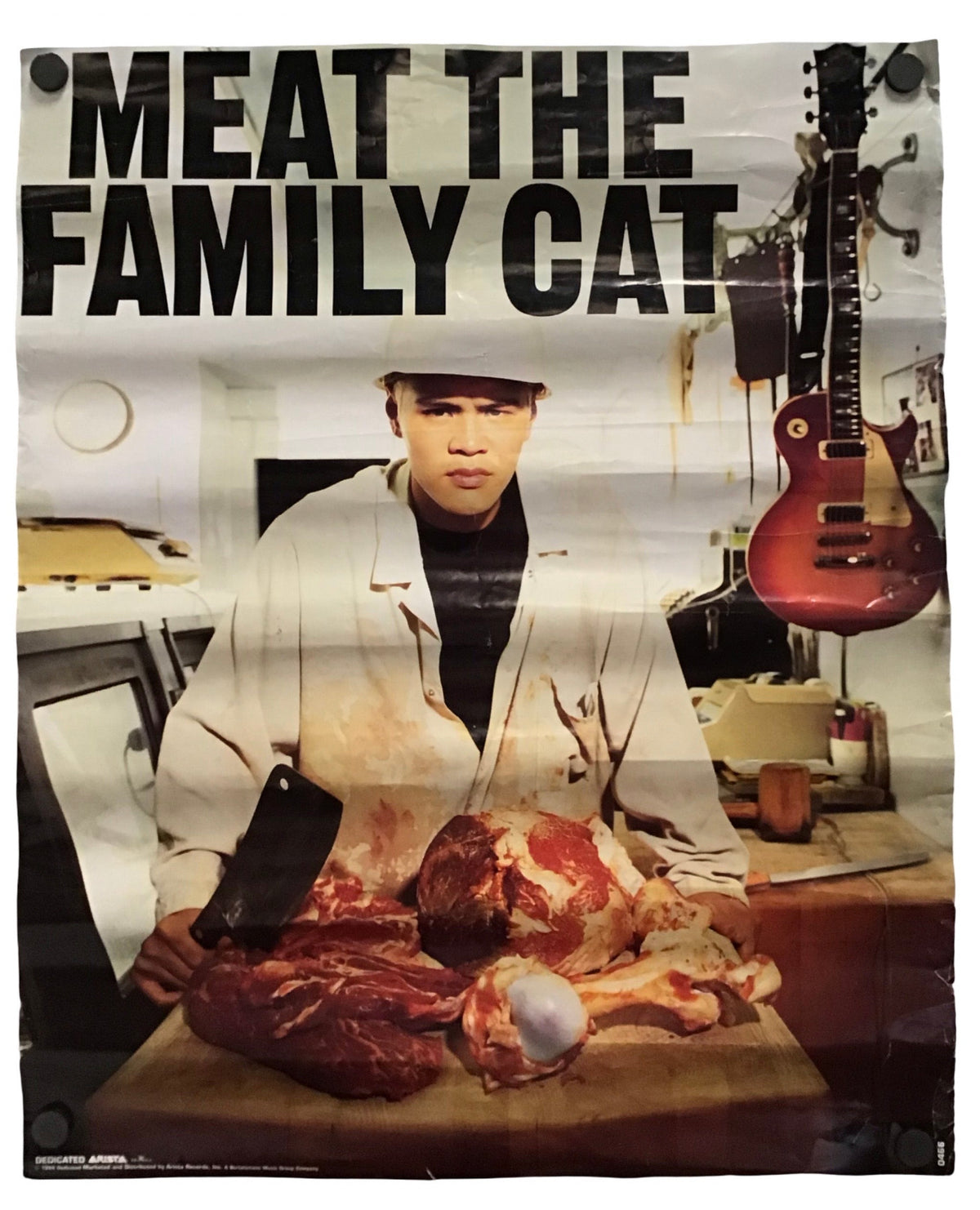 The Family Cat - Magic Happens Promo Poster