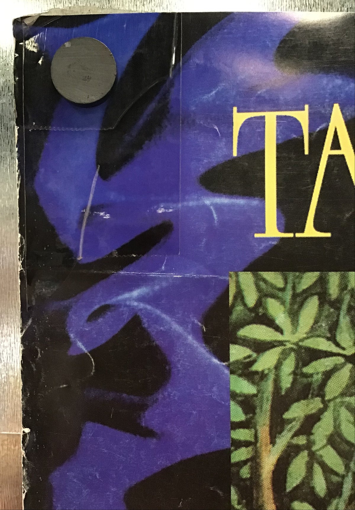 Tabula Rasa - Promo Poster for Confined in Skin and Bones