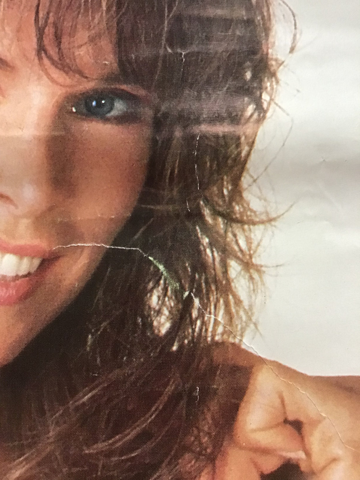 Ann Turkel - Poster