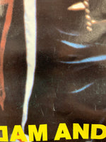 Adam and the Ants - Poster