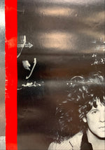 Zebra - Poster