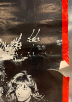Zebra - Poster