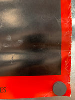 Zebra - Poster
