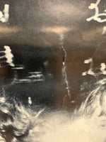 Zebra - Poster
