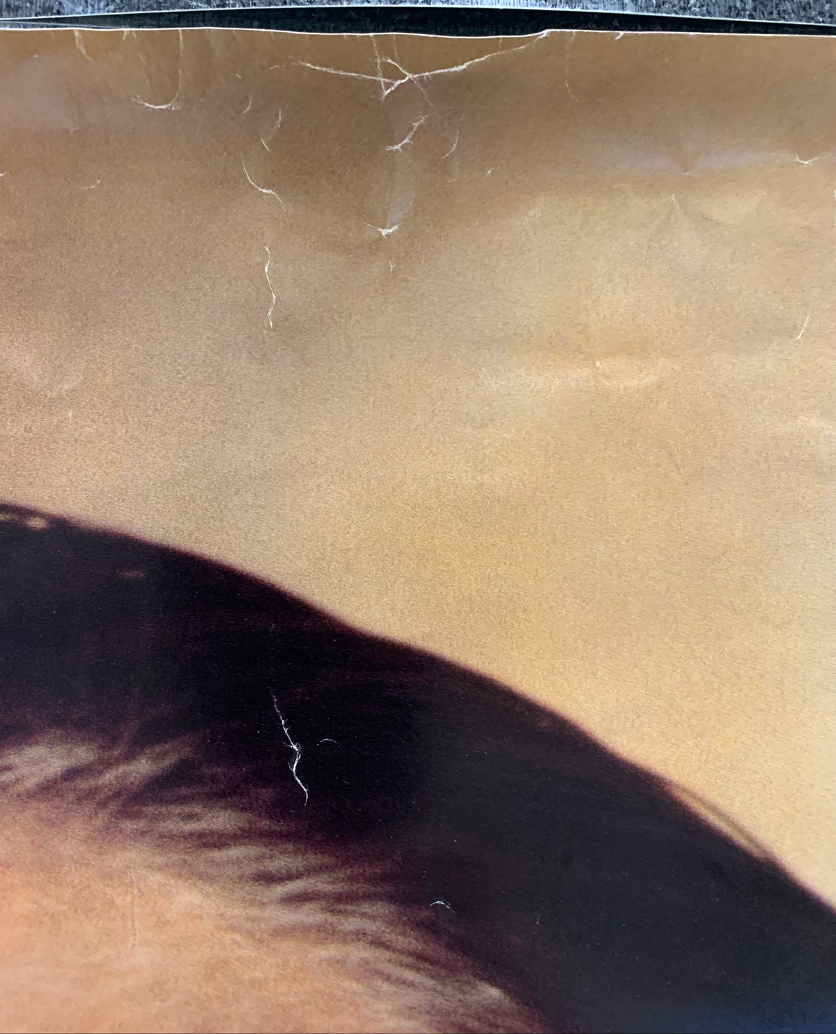 Phil Collins - Promo Poster
