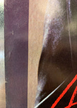 Ashford & Simpson - High Rise Promo Poster