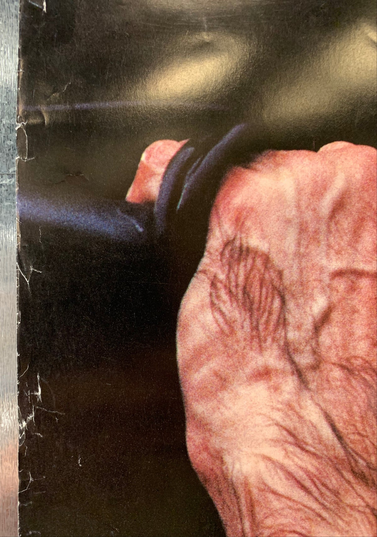 Rollins Band - Weight Promo Poster