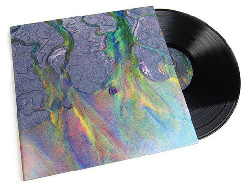 Alt-J - An Awesome Wave (レコード)