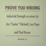 Prong : Prove You Wrong (12", Promo)