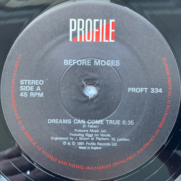 Before Moses : Dreams Can Come True (12", Single)