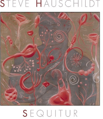 the album cover for Steve Hauschildt - Sequitur