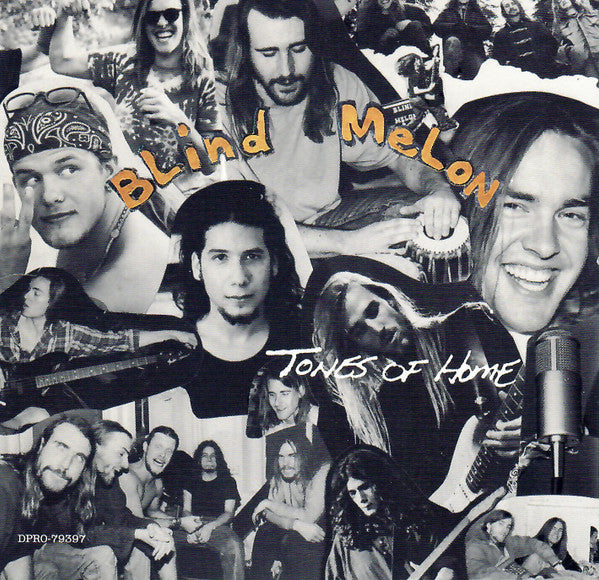 Blind Melon : Tones Of Home (CD, Single, Promo)