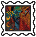 Toro y Moi - Anything in Return (Vinyl)