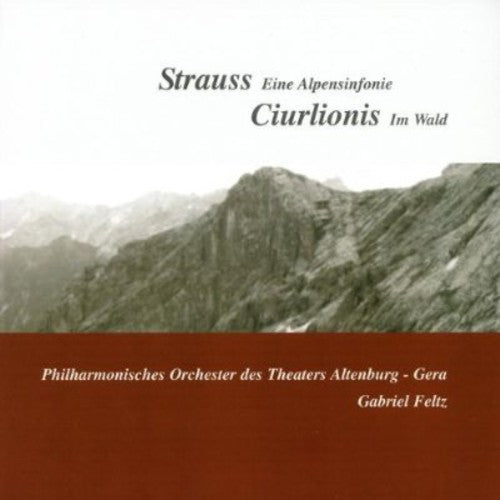 the album cover for Gabriel Feltz - An Alpine Symphony / Miske