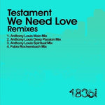 the album cover for Testament - We Need Love (Anthony Louis Mixes)